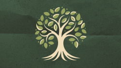 Rooted for Growth: Using Townsend's Growth Tree to Deepen Client Transformation