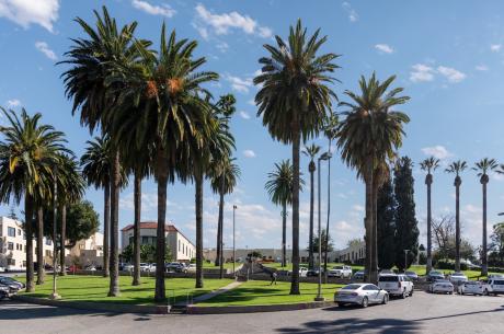 Spanish style building exterior, surrounded by palm trees and a parking lot