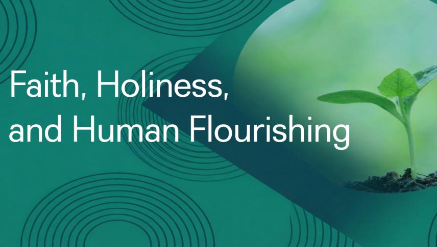 plant growing from soil